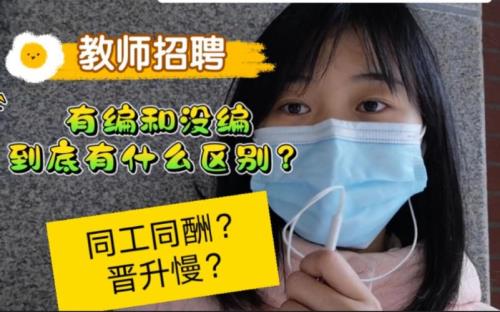 南瑞领航派遣和编制有什么区别