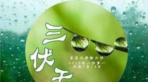 暑伏从哪天开始