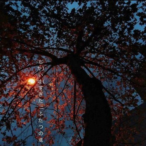 红梅花发朋友圈文案