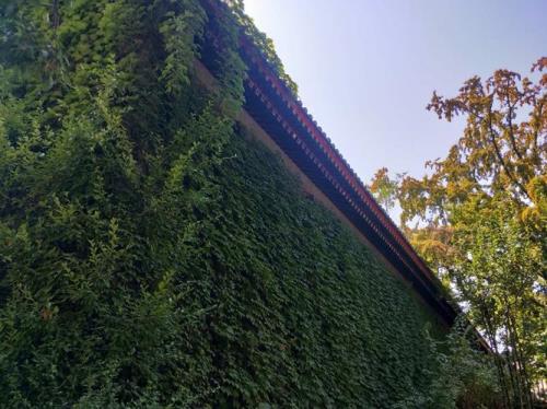 密密匝匝的意思是什么