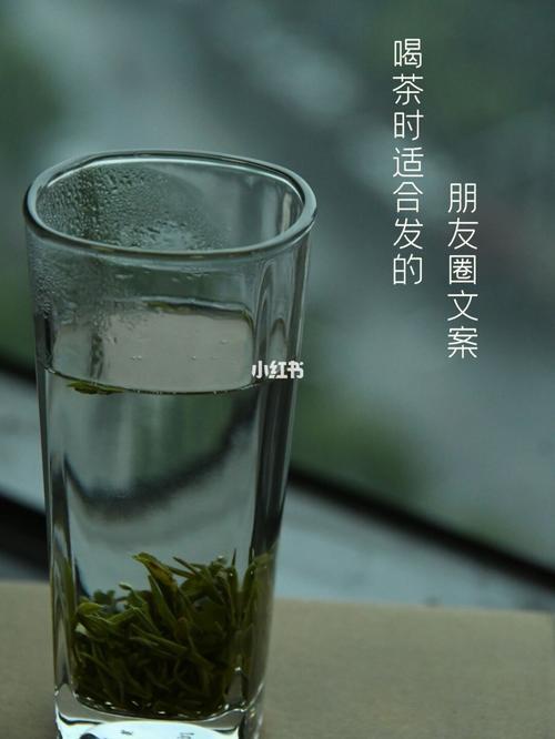 感谢茶友的支持与信任好句子