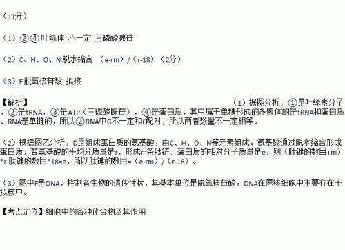 多聚体有哪三类