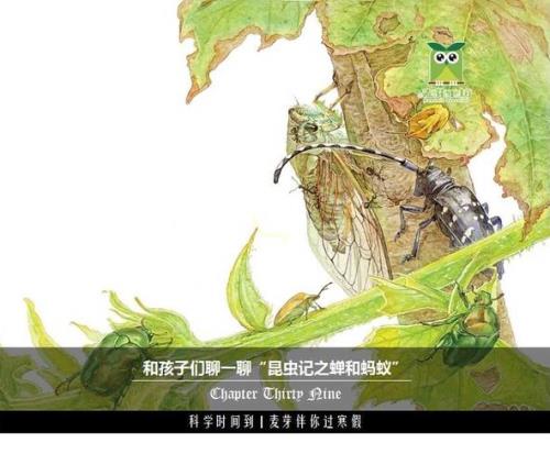 昆虫记蝉的捕食特点