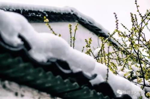 雪落无尘一丝凉什么意思