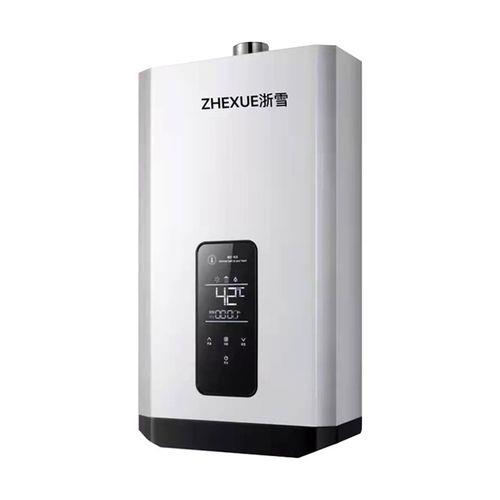 进口燃气热水器排名前十名