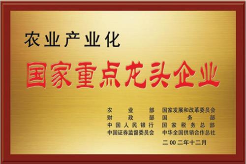 龙头企业和产业的重要性