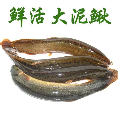 泥鳅一般要怎样杀啊