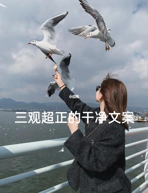 女孩子三观正有教养的文案