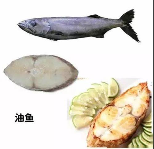 油鱼与鳕鱼的区别