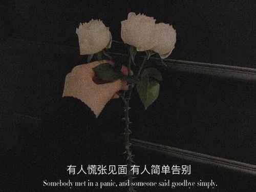 分开最后的道别文案