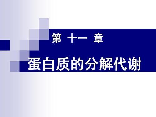 蛋白质被分解成什么