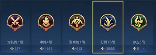 王者的分路是指定英雄吗