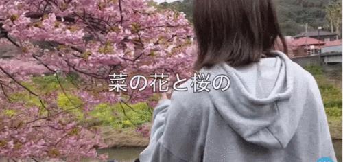 ins无法刷新动态是啥意思