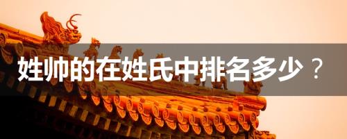 帅姓是稀有姓氏吗