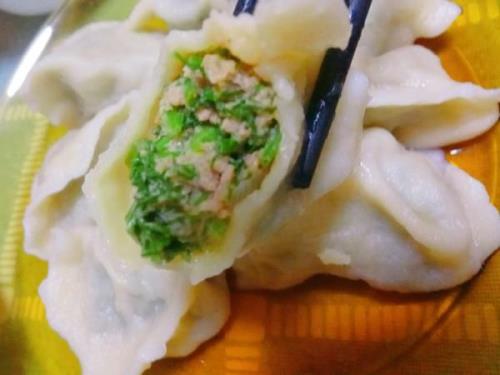 茴香猪肉饺子最正宗的做法