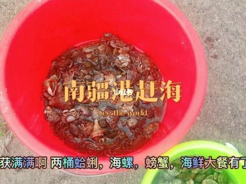 南疆赶海点