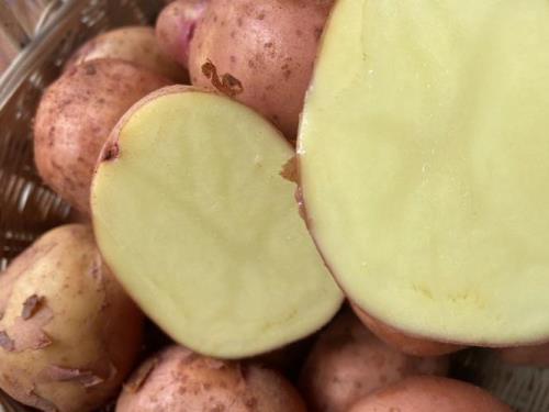 红皮土豆的最佳吃法