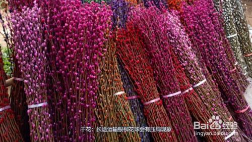 银柳的钩织方法