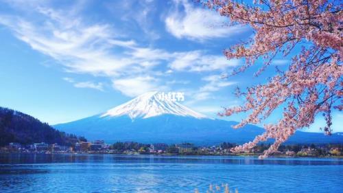 富士山留不住欲落的樱花啥意思