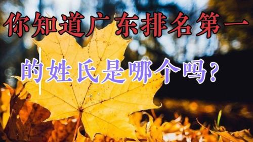 深圳市姓氏排名