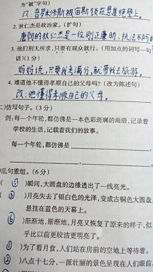 用倒可以仿写句子