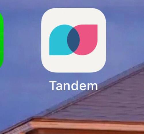 tandem卡在登录界面