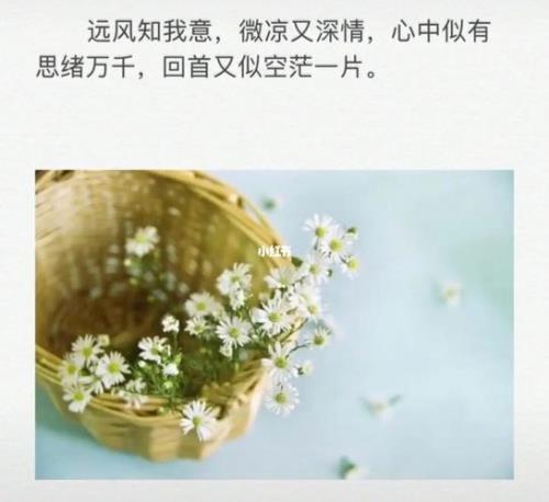 远风歌词的意思