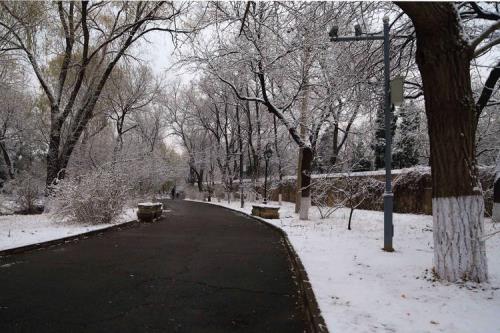 路上的雪怎么快速融化