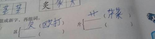 宗的偏旁加组词