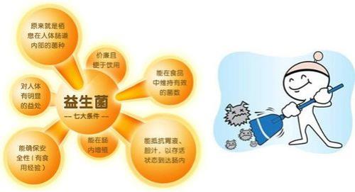 酸奶跟益生菌有什么区别