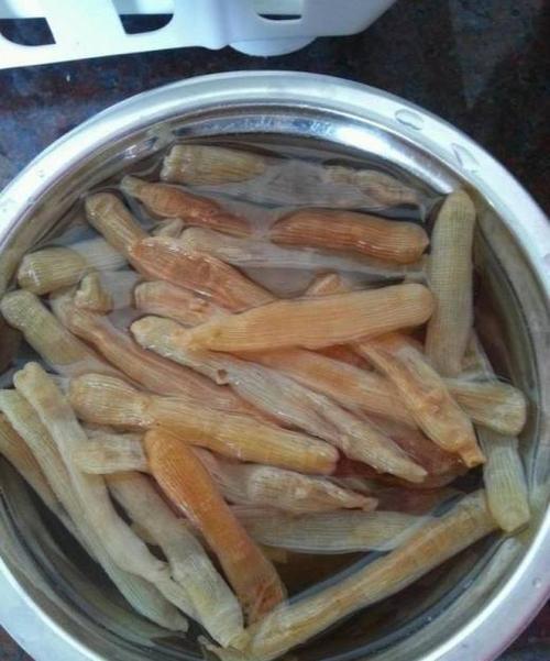 沙虫干泡发的正确方法
