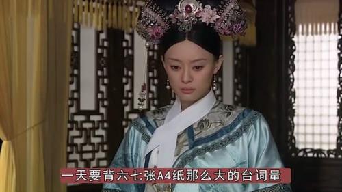 甄嬛传四个字词语