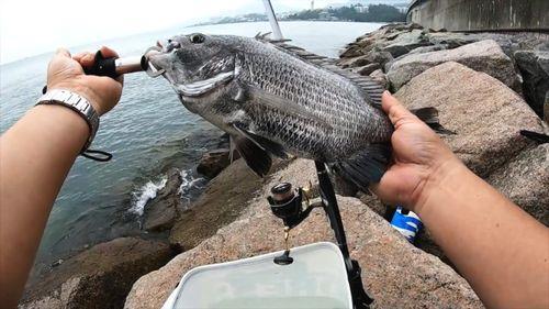 海岸矶钓立鱼那种线组好