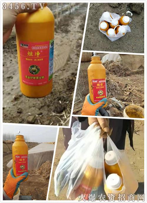 南瓜里长蛆虫用什么药