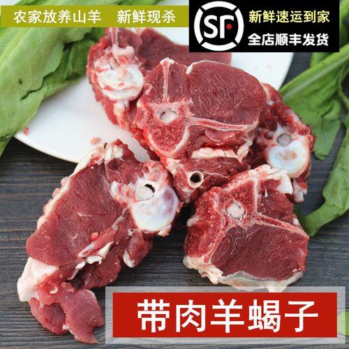 羊蝎子是哪里的肉