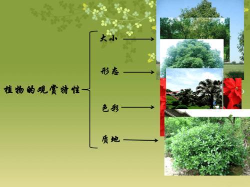植物具有哪几种特性