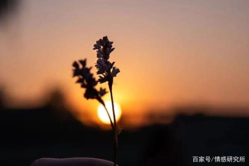 年年有遗憾年年又年年什么意思