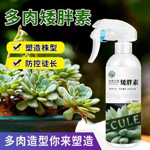多肉优芽素自制