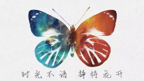 静待花开下一句怎么接