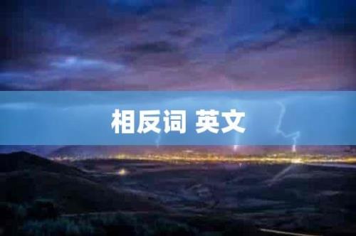 相反的词有哪些
