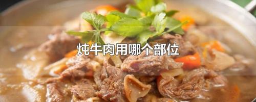 牛肉炖多久能熟透