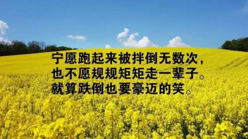 无愧于心的意思是什么