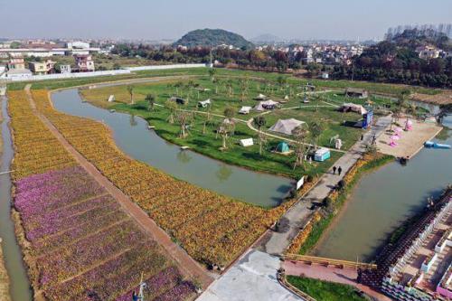 牧场和花圃只能选择一个吗
