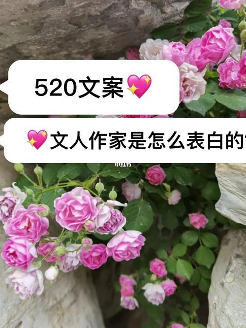 又双叒叕的句子