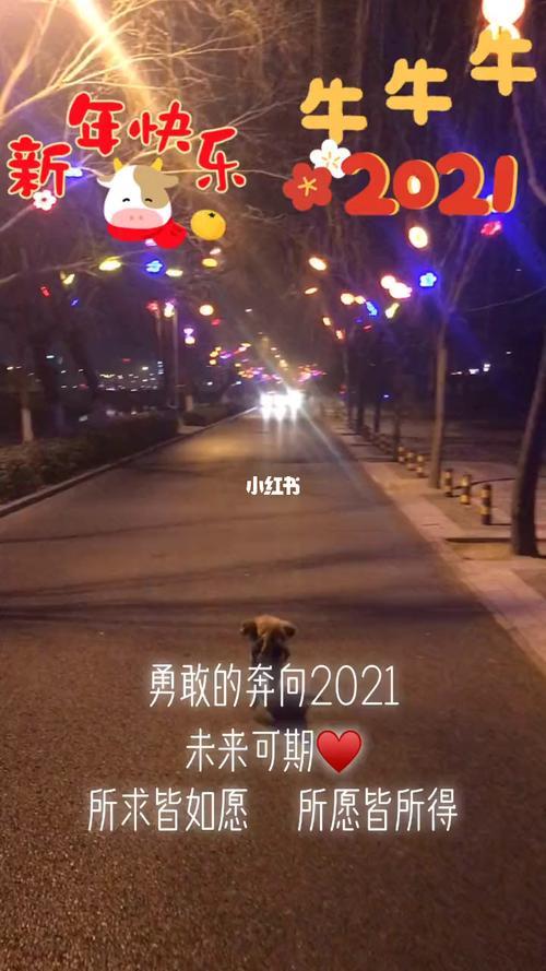 所求皆如愿是什么意思