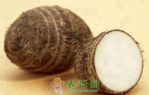 芋泥含糖量