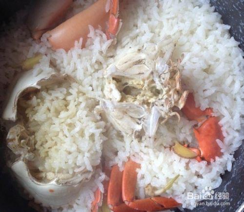 螃蟹吃什么米饭吗