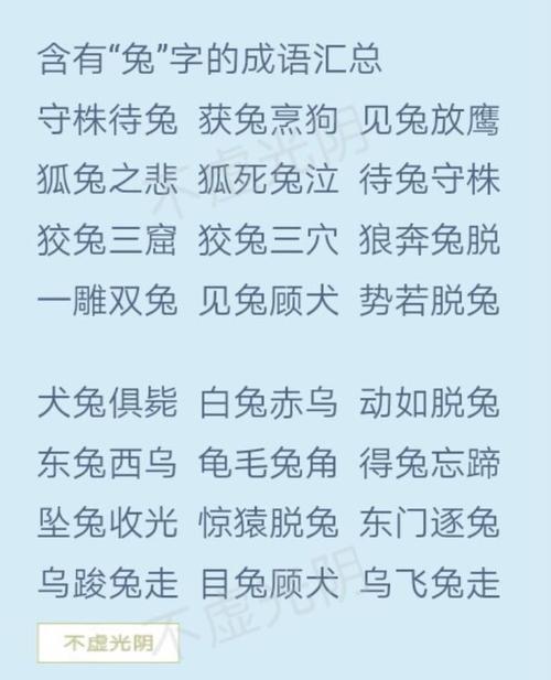 放字开头的成语