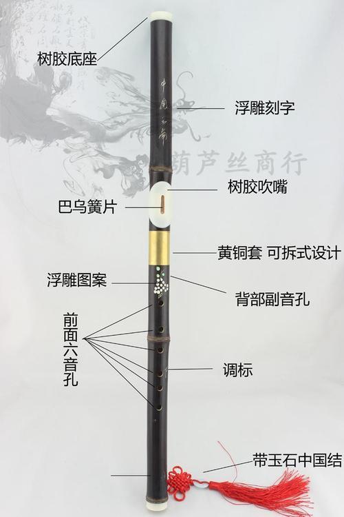 巴乌指法教学