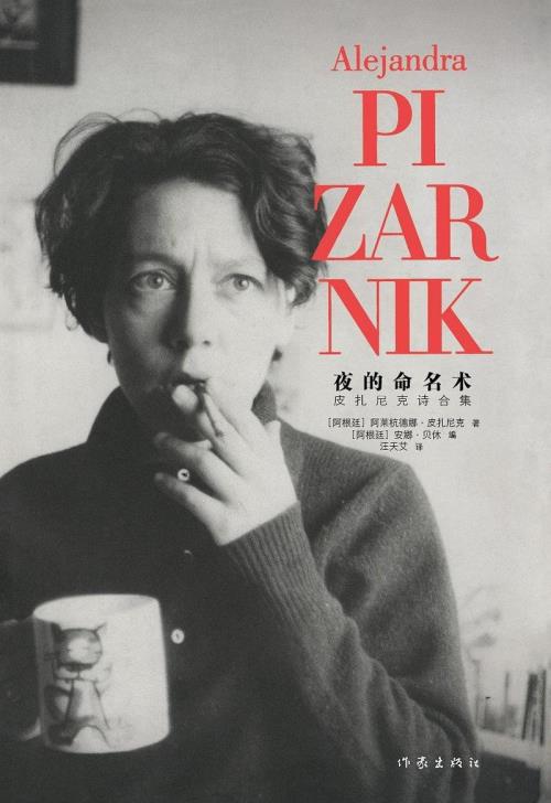 夜的命名术zard结局